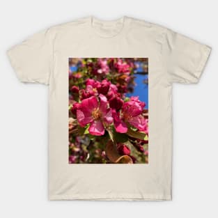 Utah Peace Garden Blossoms T-Shirt